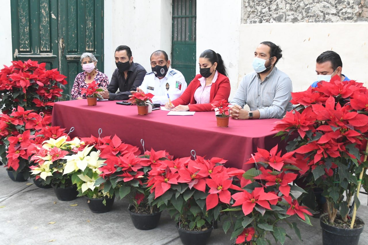 Preparan programa económico turístico navideño para incentivar la economía local.