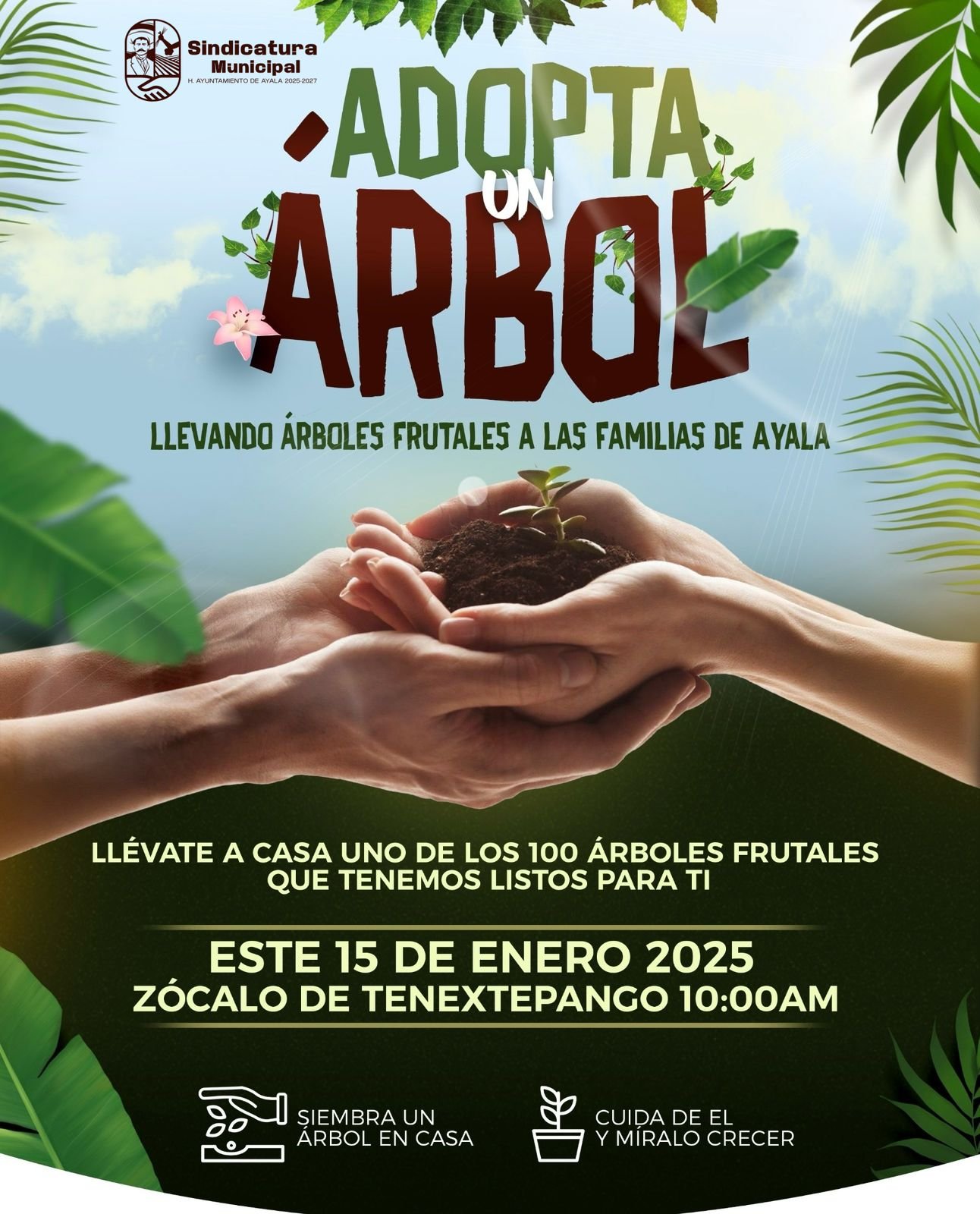 REGALAN ÁRBOLES FRUTALES PARA IMPULSAR LA REFORESTACIÓN EN PATIOS EN EL MUNICIPIO DE AYALA.